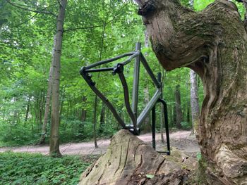Použité Veloheld Icon Frameset 2021 Road & Gravel — obrázek 3 z 11