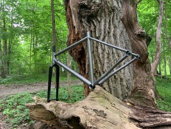 Použité Veloheld Icon Frameset 2021 Road & Gravel — obrázek 4 z 11
