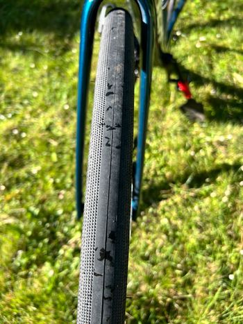 Used Trek Domane SL 5 Gen 4 2024 2024 Road & Gravel, Green — image 6 of 25