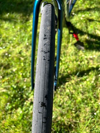 Used Trek Domane SL 5 Gen 4 2024 2024 Road & Gravel, Green — image 20 of 25