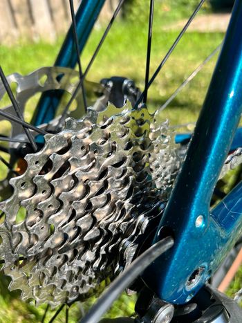 Used Trek Domane SL 5 Gen 4 2024 2024 Road & Gravel, Green — image 4 of 25