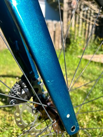 Used Trek Domane SL 5 Gen 4 2024 2024 Road & Gravel, Green — image 17 of 25