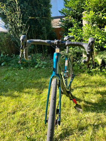 Used Trek Domane SL 5 Gen 4 2024 2024 Road & Gravel, Green — image 5 of 25