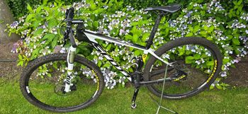 Used Scott Scale 920 2015 2015 Mountainbike, White — image 2 of 10