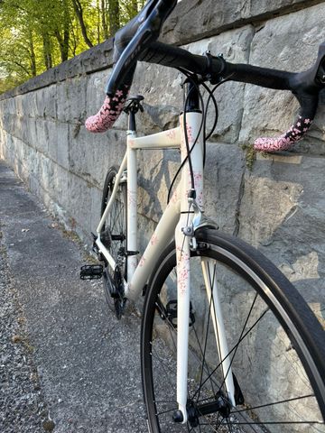 Použité Custom Sakura 1.0 2019 Road & Gravel — obrázek 3 z 8