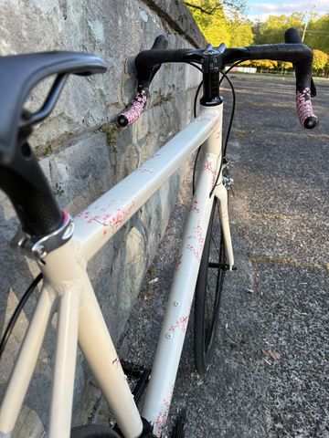 Použité Custom Sakura 1.0 2019 Road & Gravel — obrázek 4 z 8