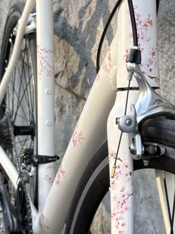 Used Custom Sakura 1.0 2019 Road & Gravel, White — image 8 of 8