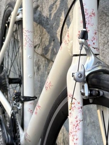 Použité Custom Sakura 1.0 2019 Road & Gravel — obrázek 8 z 8