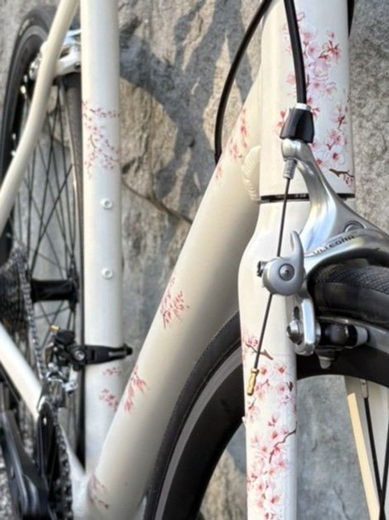 Used Custom Sakura 1.0 2019 Road & Gravel, White — image 8 of 8