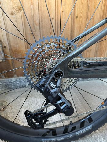Used Giant Anthem Advanced SL 1 2026 2026 Mountainbike, Light Gray, 29 — image 3 of 12