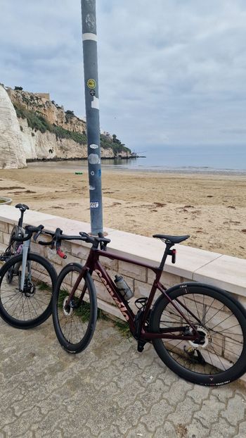 Used Cervélo Caledonia-5 Shimano Ultegra Di2 2025 Road & Gravel, Red — image 2 of 4