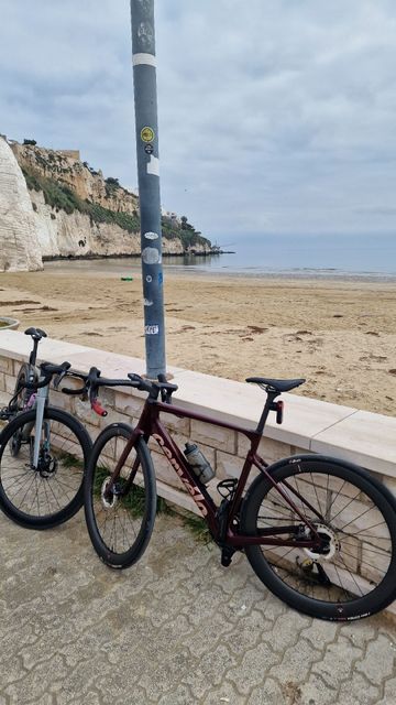 Used Cervélo Caledonia-5 Shimano Ultegra Di2 2025 Road & Gravel, Red — image 2 of 4