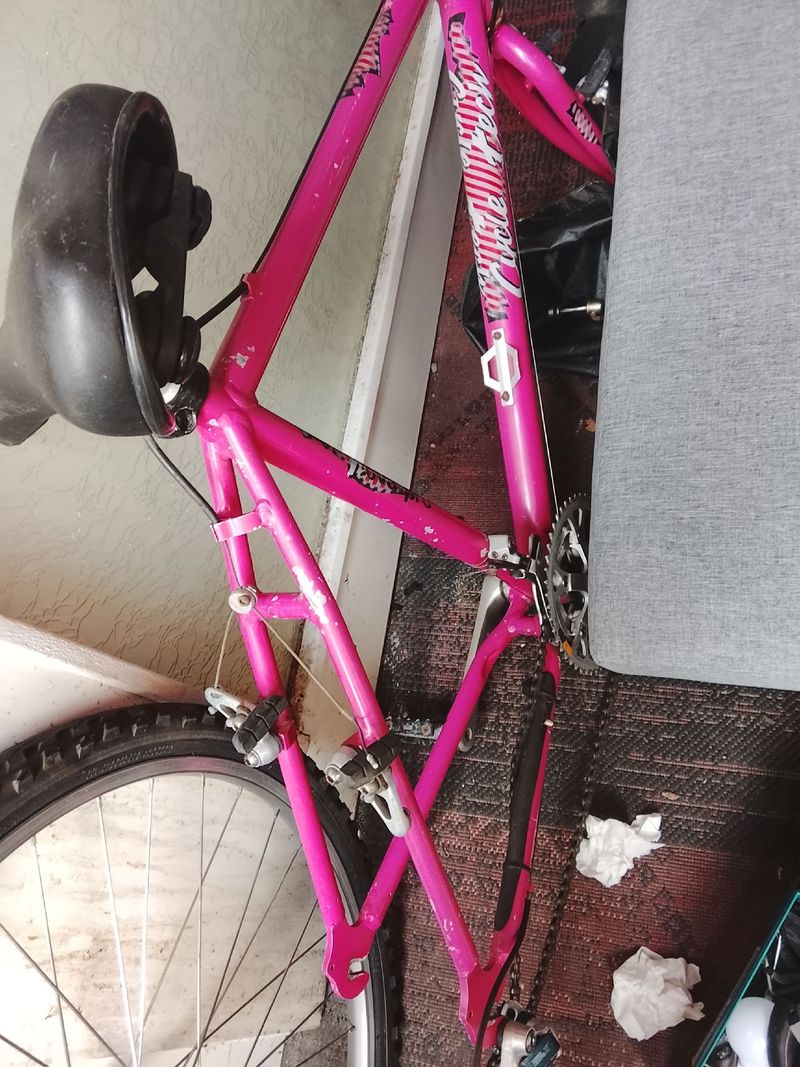 Brugt MTB Cycletech Custom Frameset 1992 MTB
