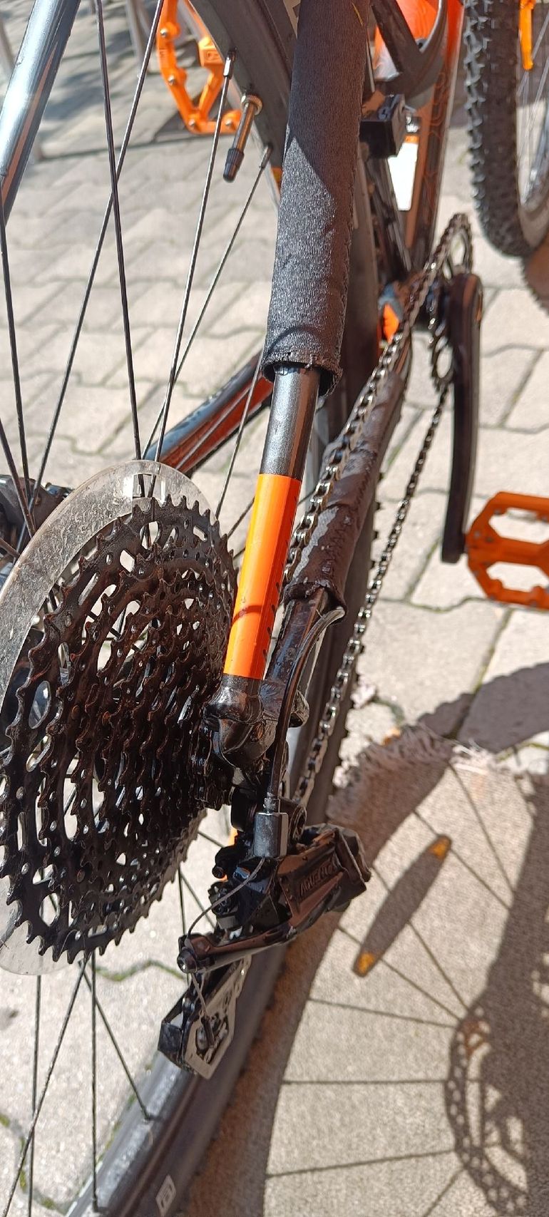 Used Cannondale Trail SL 4 2024 2024 Mountainbike, Orange, 29 — image 3 of 11