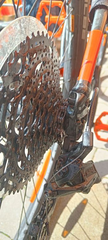 Used Cannondale Trail SL 4 2024 2024 Mountainbike, Orange, 29 — image 4 of 11