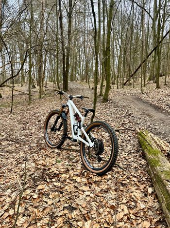 Used Specialized Stumpjumper EVO Pro 2023 2023 Mountainbike, White, 29 — image 3 of 3