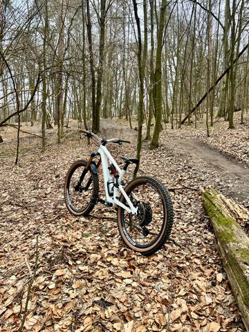 Brugt Specialized Stumpjumper EVO Sram X0 EAGLE AXS 2023 Mountainbike — billede 3 af 12
