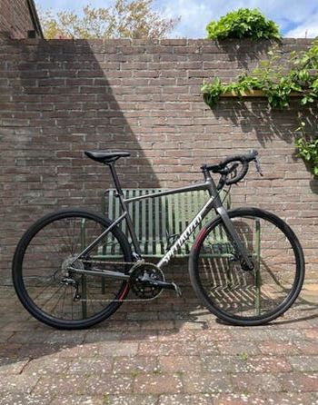 Used Specialized Allez Disc 2023 2023 Road & Gravel, Light Gray — image 3 of 3