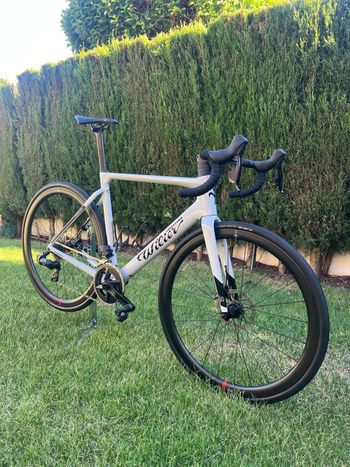 Used Wilier Filante SL SRAM RIVAL AXS D1 2X12S 2025 2025 Road & Gravel, White — image 7 of 8