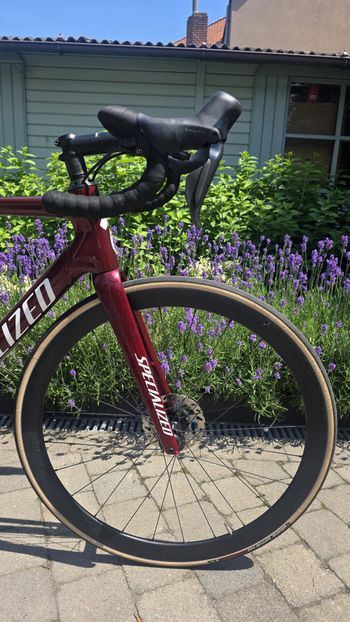 Käytetty Specialized Allez Shimano Ultegra Di2 (12 Speed) 2022 Road & Gravel — kuva 5 / 14