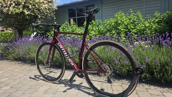 Käytetty Specialized Allez Shimano Ultegra Di2 (12 Speed) 2022 Road & Gravel — kuva 14 / 14