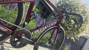 Käytetty Specialized Allez Shimano Ultegra Di2 (12 Speed) 2022 Road & Gravel — kuva 4 / 14