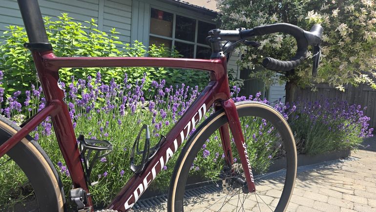 Käytetty Specialized Allez Shimano Ultegra Di2 (12 Speed) 2022 Road & Gravel — kuva 3 / 14