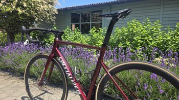 Käytetty Specialized Allez Shimano Ultegra Di2 (12 Speed) 2022 Road & Gravel — kuva 12 / 14