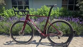 Käytetty Specialized Allez Shimano Ultegra Di2 (12 Speed) 2022 Road & Gravel — kuva 13 / 14