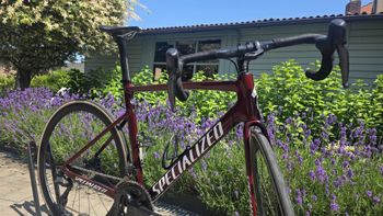 Käytetty Specialized Allez Shimano Ultegra Di2 (12 Speed) 2022 Road & Gravel — kuva 9 / 14
