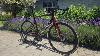 Käytetty Specialized Allez Shimano Ultegra Di2 (12 Speed) 2022 Road & Gravel — kuva 2 / 14