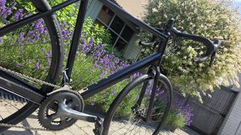 Canyon Endurace AL Disc 6.0 2021 2021 Road & Gravel d'occasion — image 4 sur 16