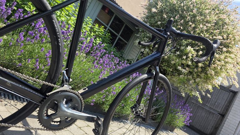 Canyon Endurace AL Disc 6.0 2021 2021 Road & Gravel d'occasion — image 4 sur 16
