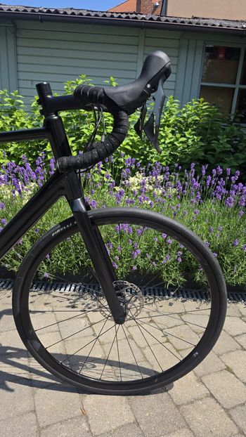 Canyon Endurace AL Disc 6.0 2021 2021 Road & Gravel d'occasion — image 6 sur 16