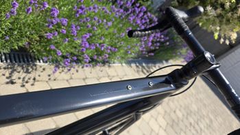 Canyon Endurace AL Disc 6.0 2021 2021 Road & Gravel d'occasion — image 10 sur 16