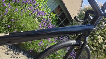 Canyon Endurace AL Disc 6.0 2021 2021 Road & Gravel d'occasion — image 5 sur 16