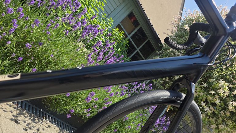 Canyon Endurace AL Disc 6.0 2021 2021 Road & Gravel d'occasion — image 5 sur 16