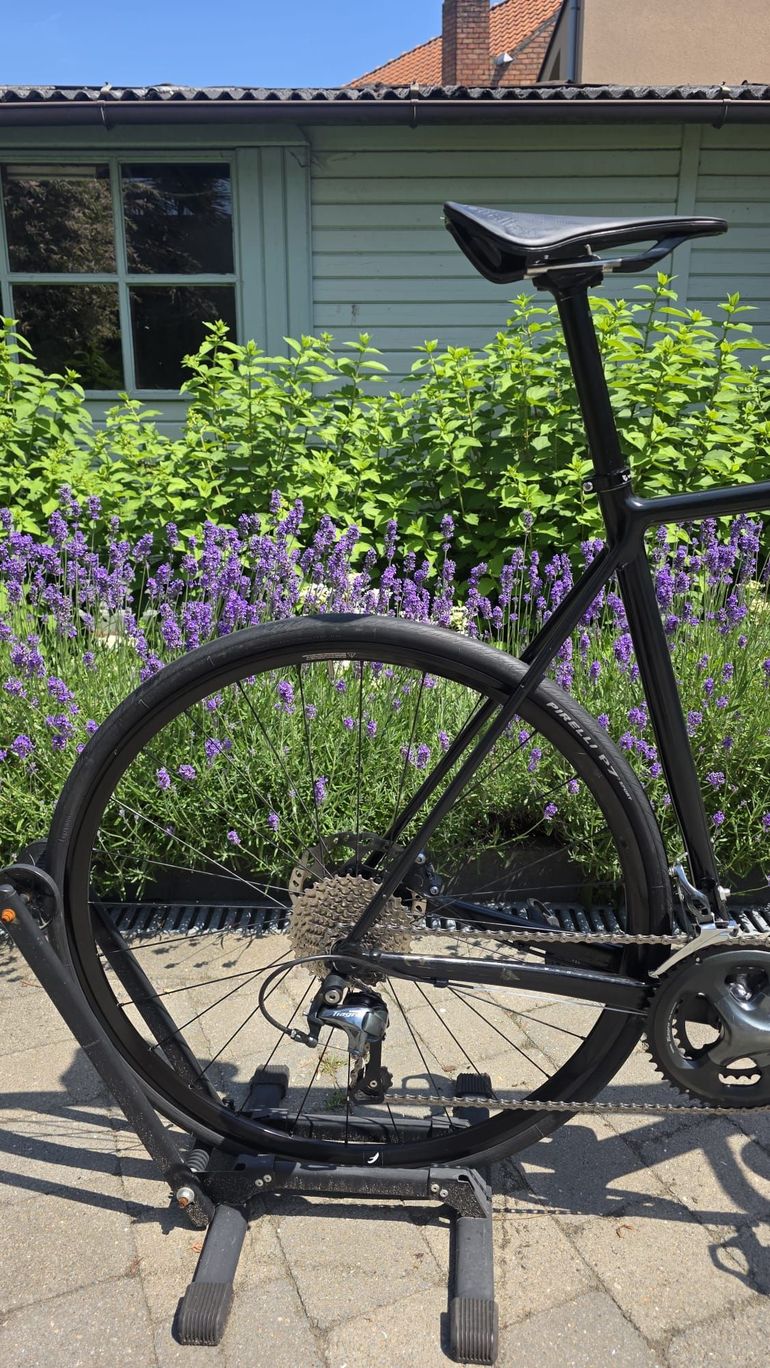 Canyon Endurace AL Disc 6.0 2021 2021 Road & Gravel d'occasion — image 7 sur 16