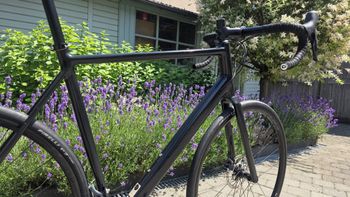 Canyon Endurace AL Disc 6.0 2021 2021 Road & Gravel d'occasion — image 3 sur 16