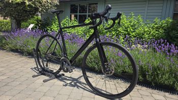 Canyon Endurace AL Disc 6.0 2021 2021 Road & Gravel d'occasion — image 2 sur 16