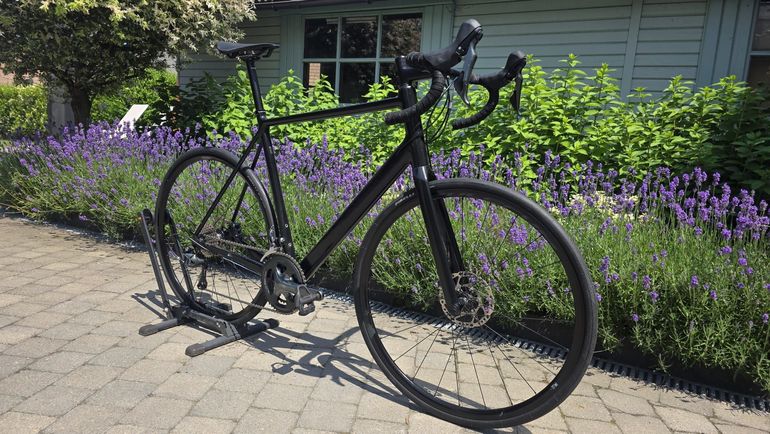 Canyon Endurace AL Disc 6.0 2021 2021 Road & Gravel d'occasion — image 2 sur 16