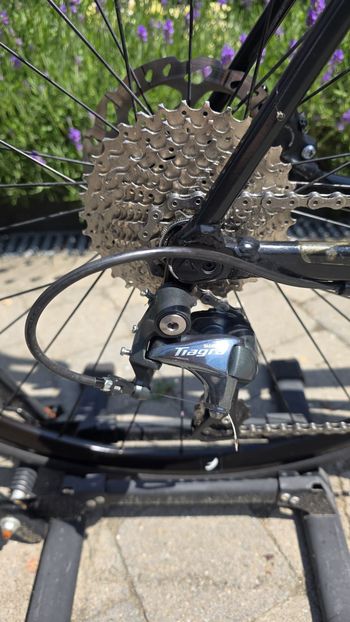 Canyon Endurace AL Disc 6.0 2021 2021 Road & Gravel d'occasion — image 9 sur 16