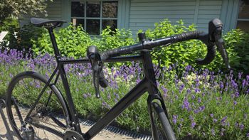 Canyon Endurace AL Disc 6.0 2021 2021 Road & Gravel d'occasion — image 13 sur 16