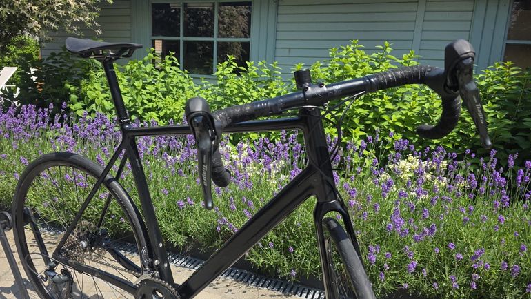 Canyon Endurace AL Disc 6.0 2021 2021 Road & Gravel d'occasion — image 13 sur 16