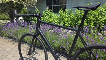 Canyon Endurace AL Disc 6.0 2021 2021 Road & Gravel d'occasion — image 14 sur 16