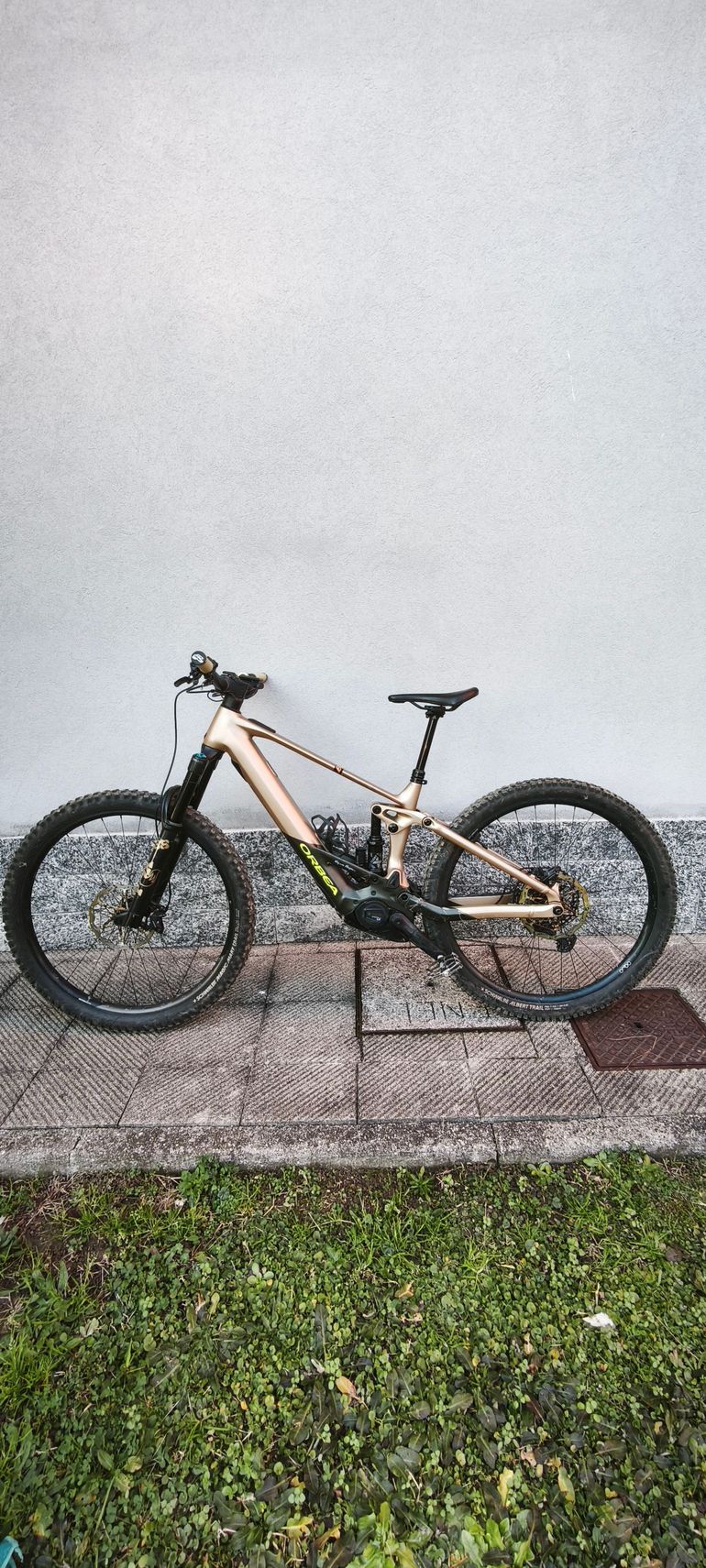 Used Orbea WILD H10 2023 2023 Mountainbike, White, 29 — image 3 of 5
