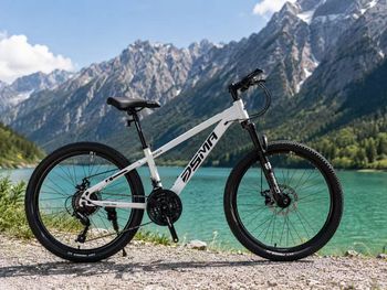 Brugt Other Brands DSVIA Peek 2025 Mountainbike — billede 2 af 11