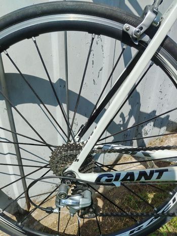 Used Giant Tcr Shimano Ultegra 2010 Road & Gravel, White — image 4 of 5