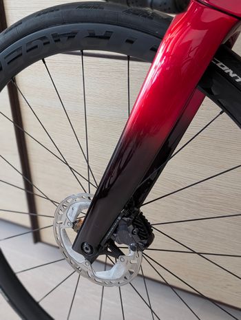 Brugt Trek Madone SLR 7 Gen 7 2024 2024 Road & Gravel — billede 7 af 20