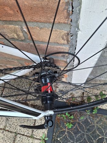 Used Trek Madone 6.9 SSL H1 Frameset 2012 Frameset 2012 Road & Gravel, White — image 8 of 10